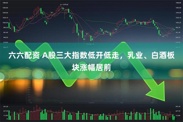 六六配资 A股三大指数低开低走，乳业、白酒板块涨幅居前
