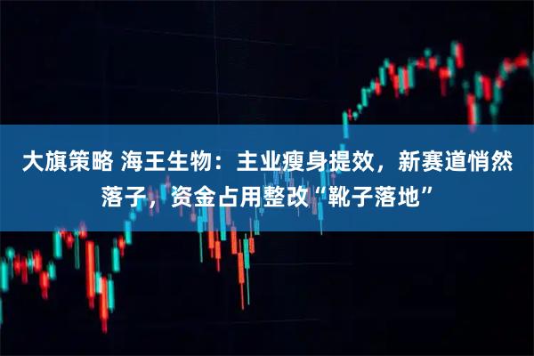 大旗策略 海王生物：主业瘦身提效，新赛道悄然落子，资金占用整改“靴子落地”